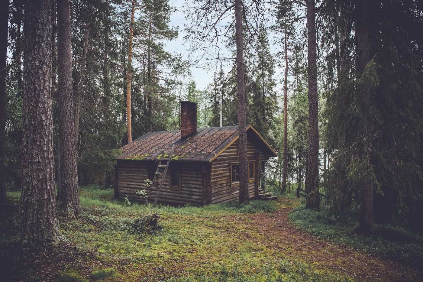 The Wayfarer's log-built main house, alone among tall pines